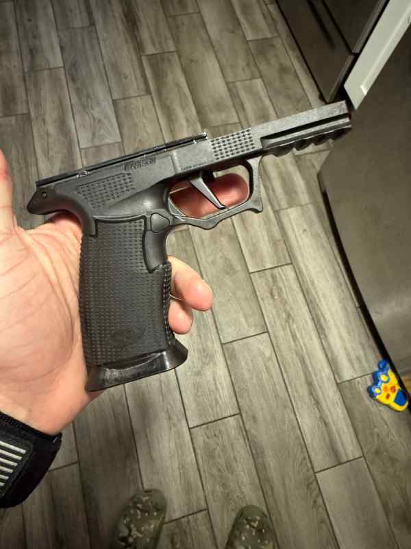 Sig 365 FCU in Icarus frame