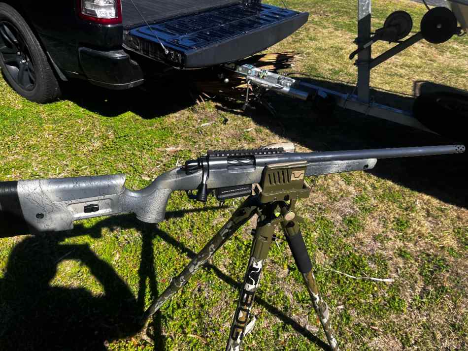 Bergara 308